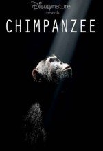 Şempanze (2012)