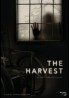 Hasat – The Harvest